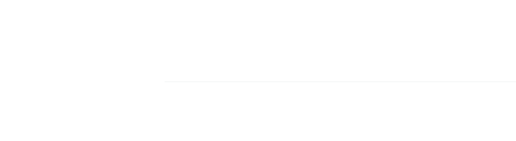 bluemile solutions logo