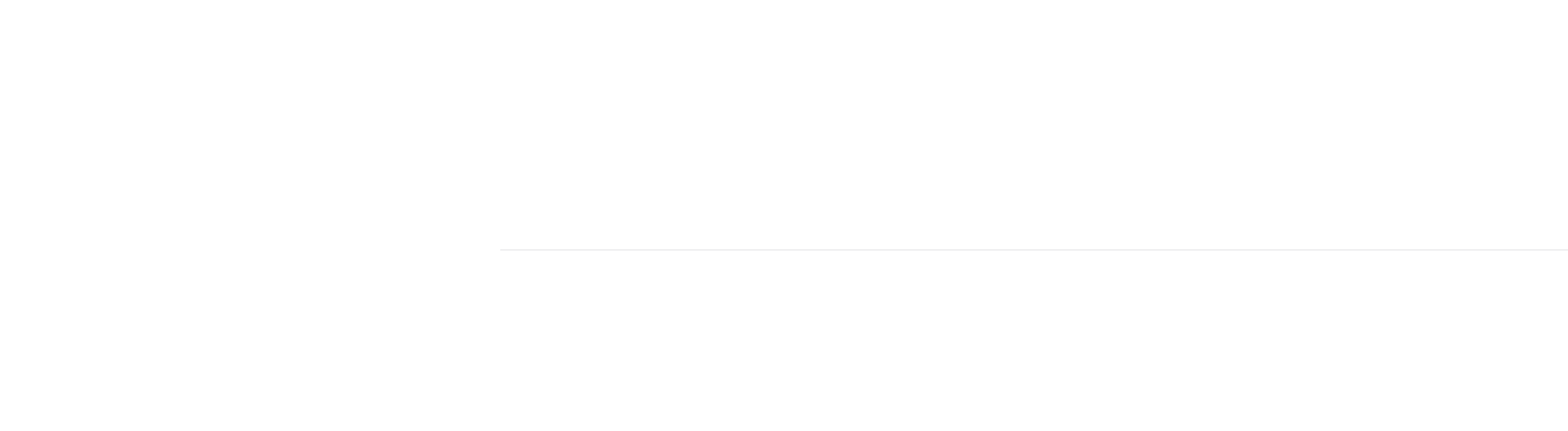 bluemile solutions logo